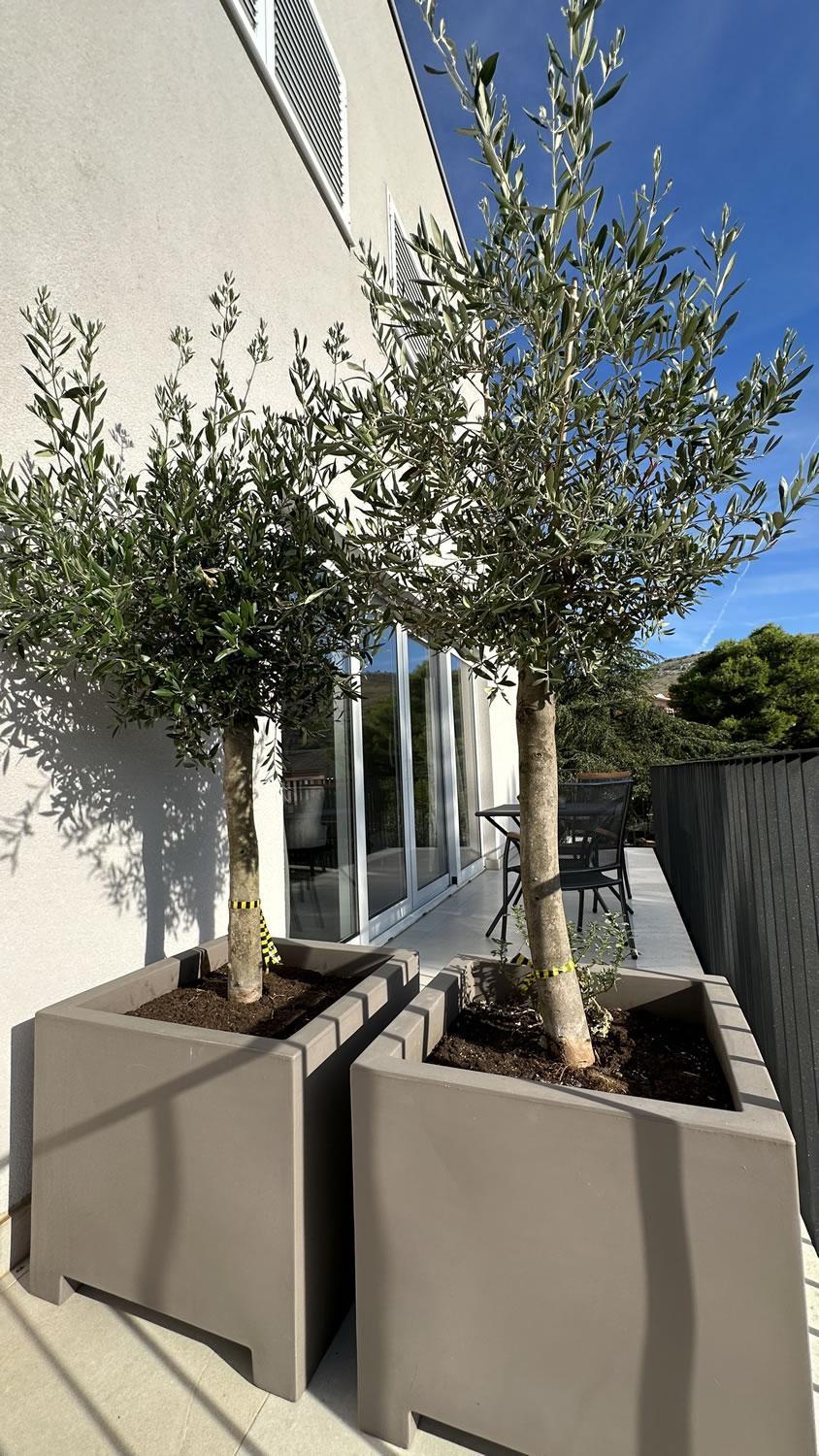 Arte Oliva Bed & Breakfast Grebaštica Exterior foto